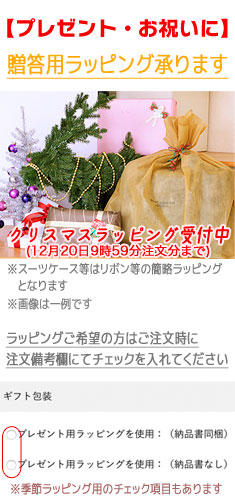 【プレゼント・お祝いに】贈答用ラッピング承ります